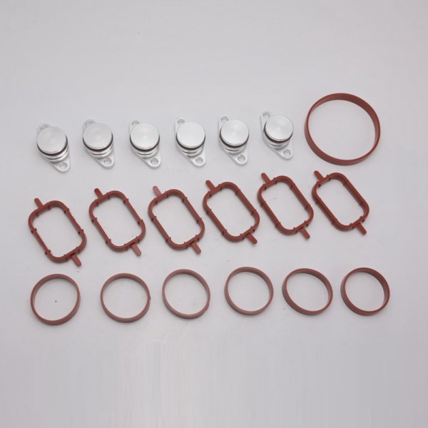 EPMAN Swirl Flap Removal Repair Kit With Intake Manifold Gasket 6 x 22mm For BMW 320d 330d 520d 525d 530d TKYD83K